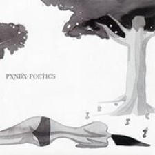 Descargar Panda – Poetics [2009] MEGA