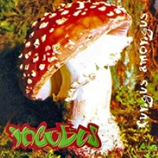 Descargar Incubus - Fungus Amongus [1995] MEGA