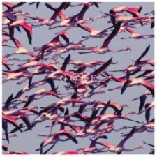 Descargar - Deftones - Gore [2016] MEGA