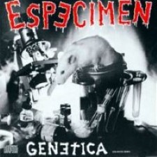 Descargar Especimen - Genética [1994] MEGA