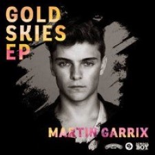 Descargar Martin Garrix - Gold Skies [2014] MEGA