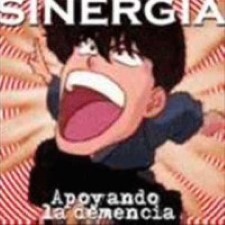 Descargar Sinergia - Apoyando la demencia [Demo] [1998] MEGA