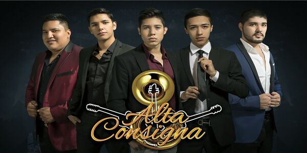Discografia Alta Consigna MEGA Completa