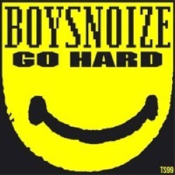 Descargar Boys Noize - Go Hard [2013] MEGA