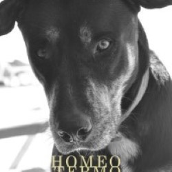 Descargar Caloncho - Homeotermo [2011] MEGA