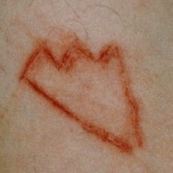 Descargar xxxtentacion - Members Only, Vol. 2 [with Members Only] [2015] MEGA