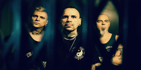 Discografia Animal MEGA Completa