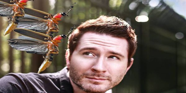 Discografia Owl City MEGA Completa