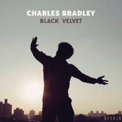 Descargar Charles Bradley – Terciopelo Negro [2018] MEGA