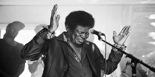 Discografia Charles Bradley MEGA Completa