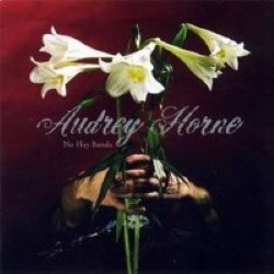 Descargar Audrey Home - No Hay Banda [2005] MEGA