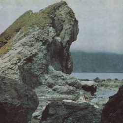 Descargar Motorama – Many Nights [2018] MEGA