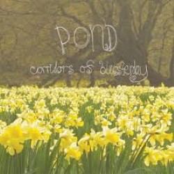 Descargar Pond – Corridors of Blissterday [2009] MEGA