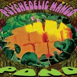 Descargar Pond - Psychedelic Mango [2009] MEGA
