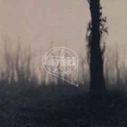 Descargar Subsonica - Controllo del livello di rombo [2003] MEGA