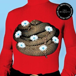 Descargar The Wombats – Beautiful People Will Ruin Your Life [2018] MEGA