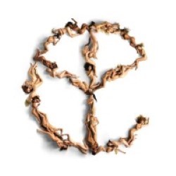 Descargar Yellow Claw - Blood for Mercy [2015] MEGA
