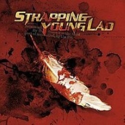 Descargar Devin Townsend - Strapping Youg Lad [2003] MEGA