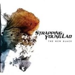 Descargar Devin Townsend - The New Black [2006] MEGA