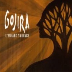 Descargar Gorija - L'Enfant Sauvage [2012] MEGA