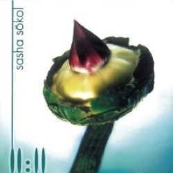 Descargar Sasha Sokol - 1111 [1997] MEGA