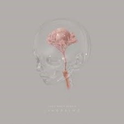 Descargar Sleep Party People - Lingering [2017] MEGA