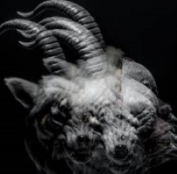 Descargar The Gazette - Beautiful Deformity [2013] MEGA
