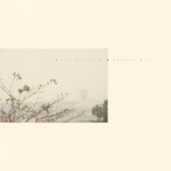 Descargar Wild Nothing - Golden Haze [2010] MEGA