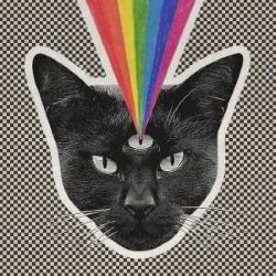 Descargar Never Shout Never - Black Cat [2015] MEGA