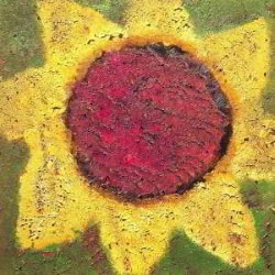 Descargar Never Shout Never - Sunflower [2013] MEGA