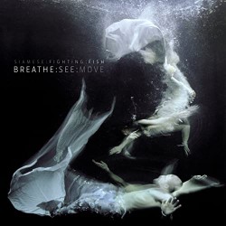 Descargar Siamese - Breathe See Move [2012] MEGA