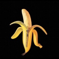 Descargar The Dandy Warhols - Welcome to the Monkey House [2003] MEGA