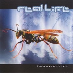 Descargar Real Life - Imperfection (Album Version Remix) [2004] MEGA