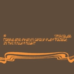Descargar Stereolab - Cobra and Phases Group Play Voltage in the Milky Night [1999] MEGA