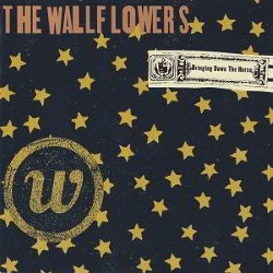 Descargar The Wallflowers - Bringing Down The Horse [1996] MEGA
