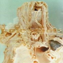 Descargar Pale Saints - In Ribbons [1992] MEGA