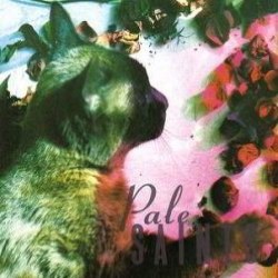 Descargar Pale Saints - The Comforts Of Madness [1990] MEGA