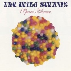 Descargar The Wild Swans - Space Flower [1990] MEGA